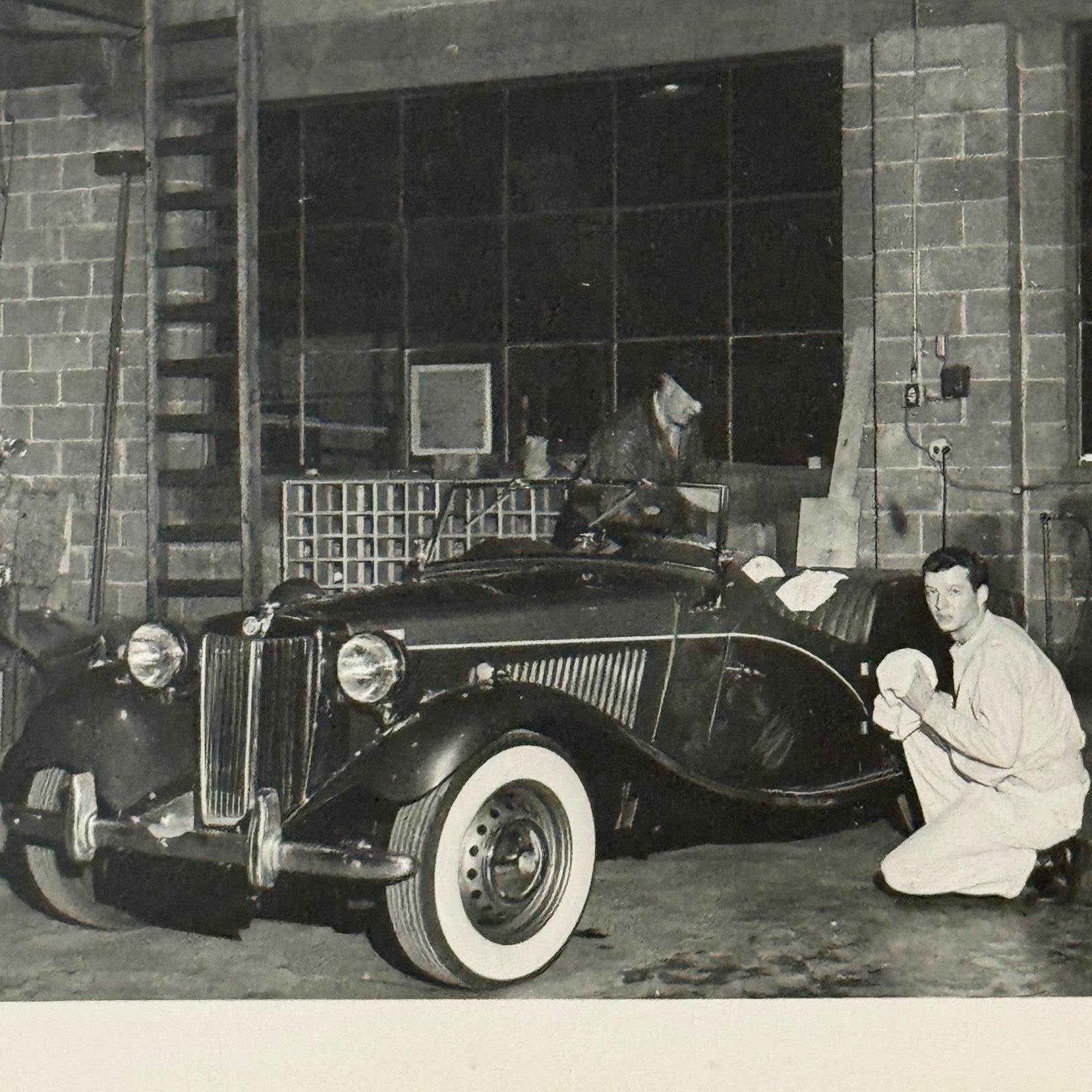 Vintage MG Roadster Car Photo Photograph Print Lot 13x 1953