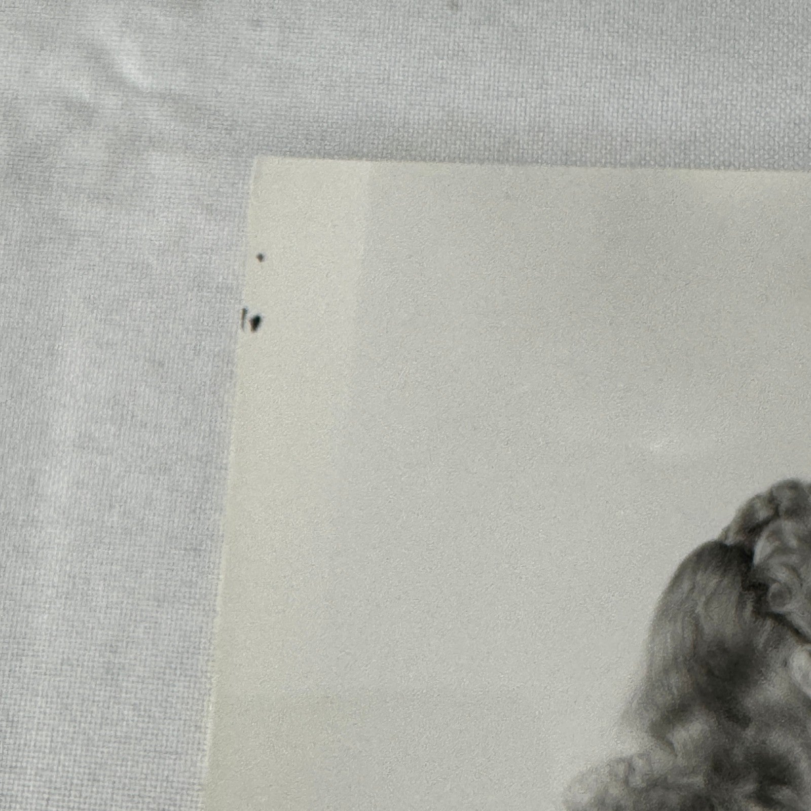 Vintage Movie Still Press Photo Photograph Boxing Boxer Unidentified Actors