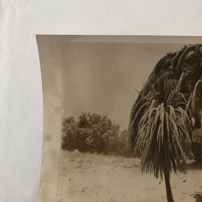 Press Photo Photograph Film Star Actress Lucille Lee Stewart Shovelling Snow