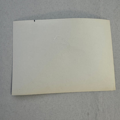 Vintage Car Racing Photo Porsche 906 Photograph