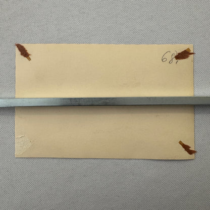 Circus Rollerskating Roller Skate Circus Act Photo Photograph Grock