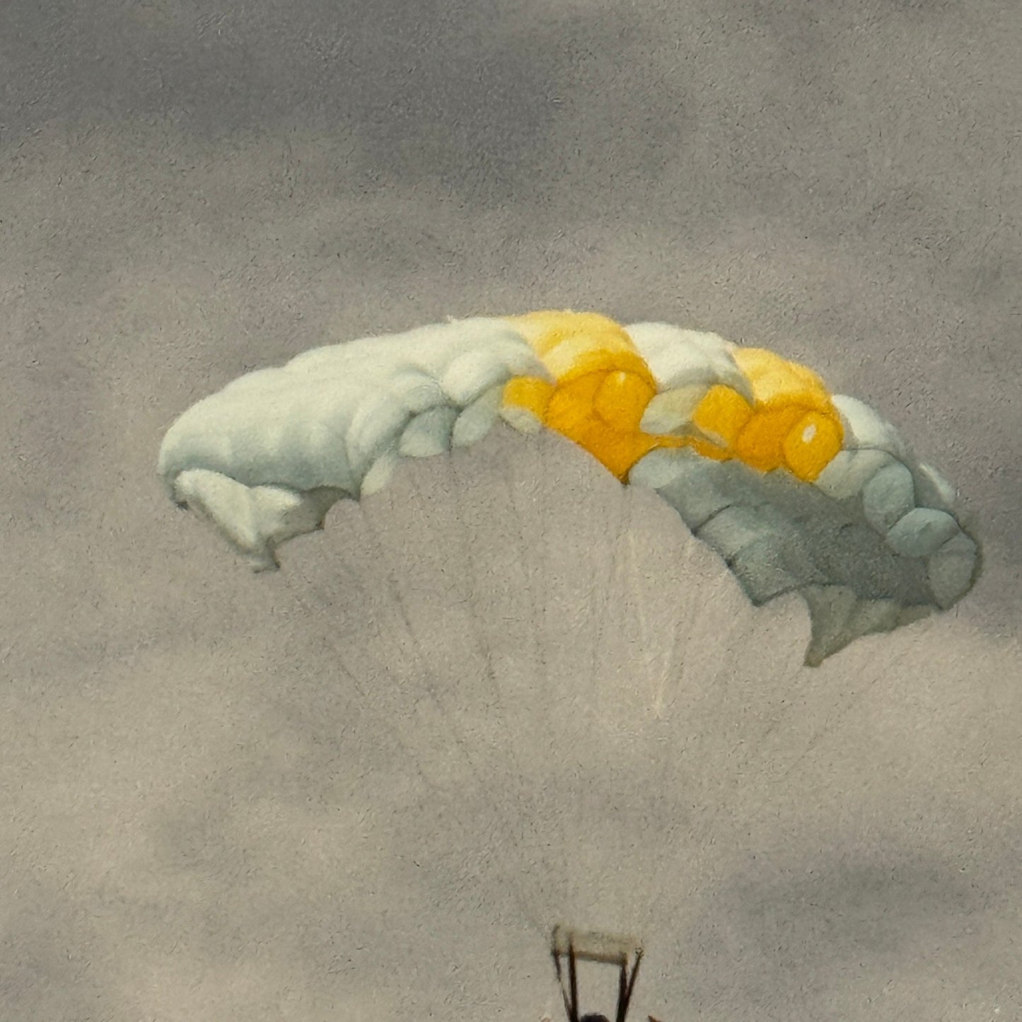 Vintage Skydiving Parachute Photo Large Format Aviation Photograph 1970s-80s