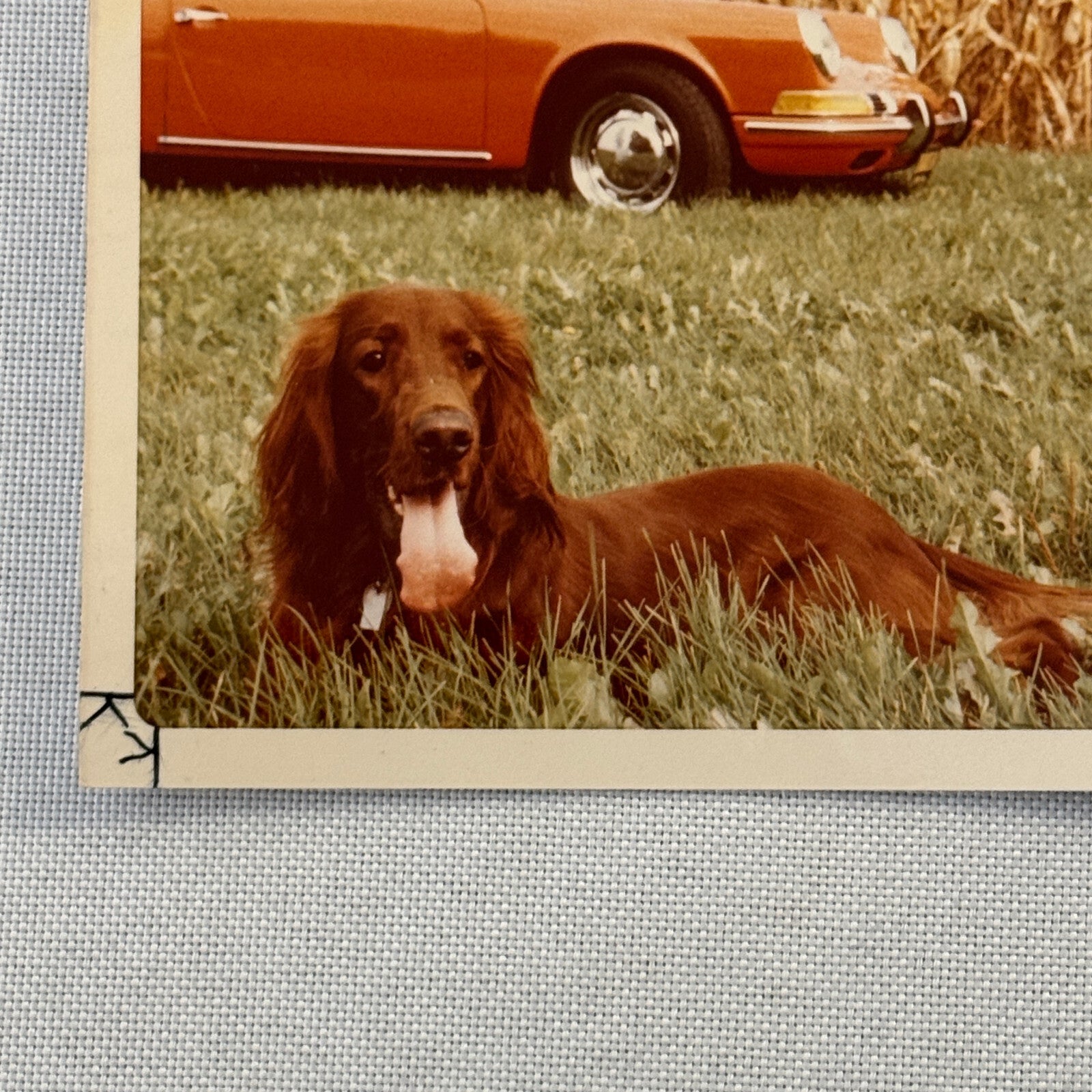 Porsche 911 with Dog Photo Photograph Print Vintage
