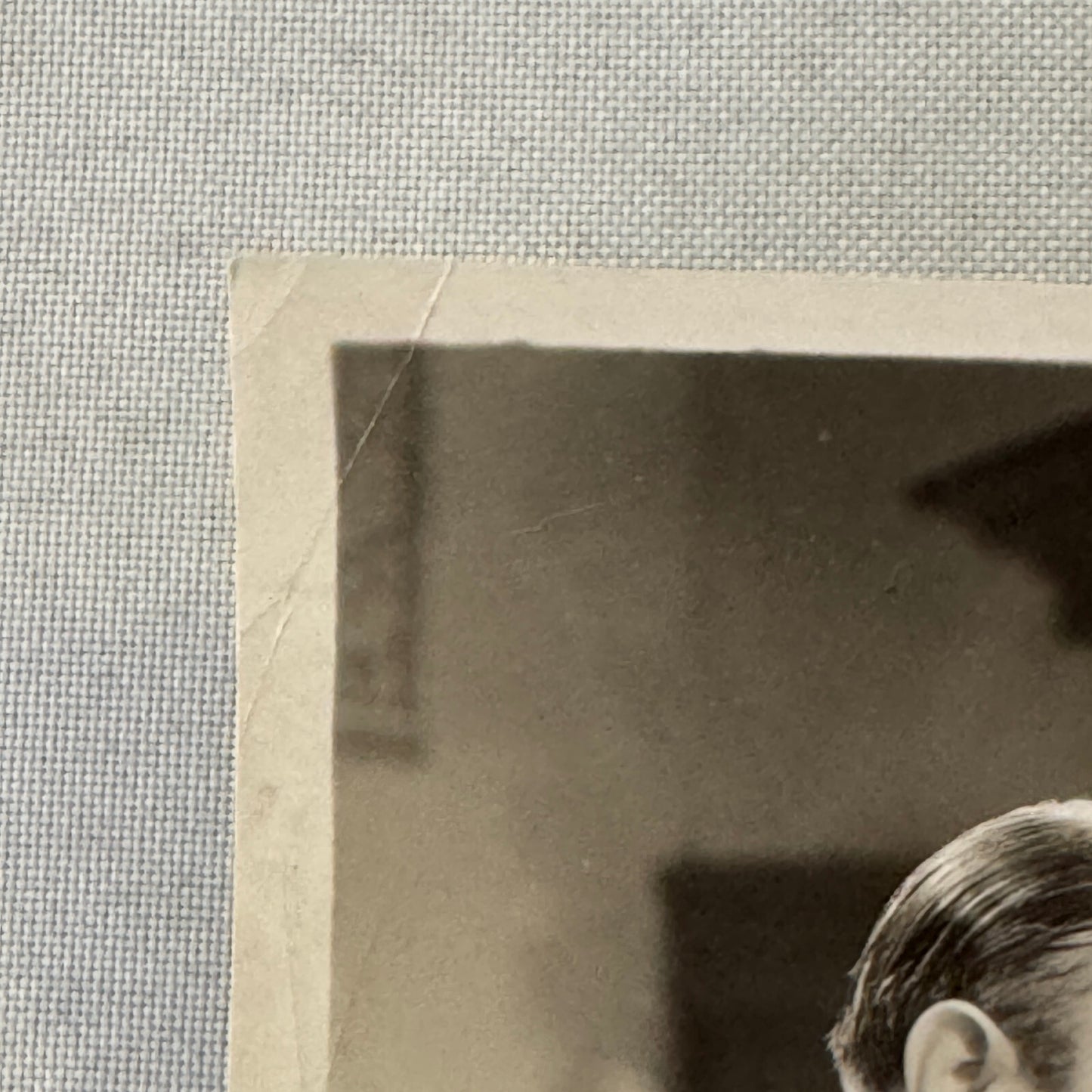 Vintage Movie Press Photo Photograph Paradise for Three MGM Metro Goldwyn Mayer