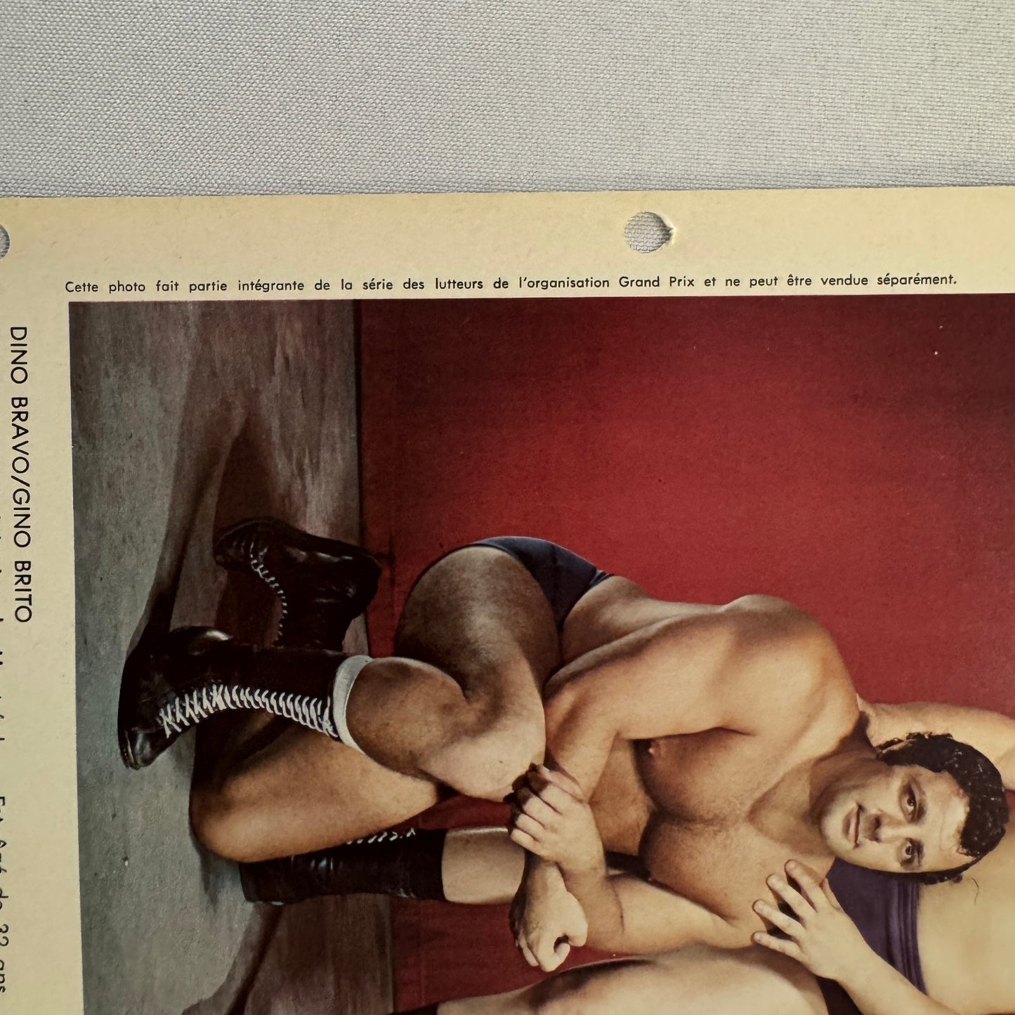 Vintage Wrestling Print Insert Dino Bravo Gino Brito Quebec French 1973