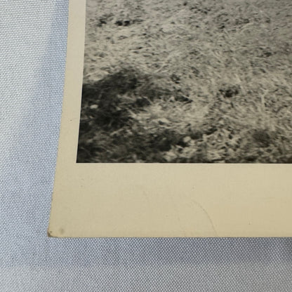 Vintage Racing Photo Fiat Balilla at Hillclimb Race Guy Griffiths Photo