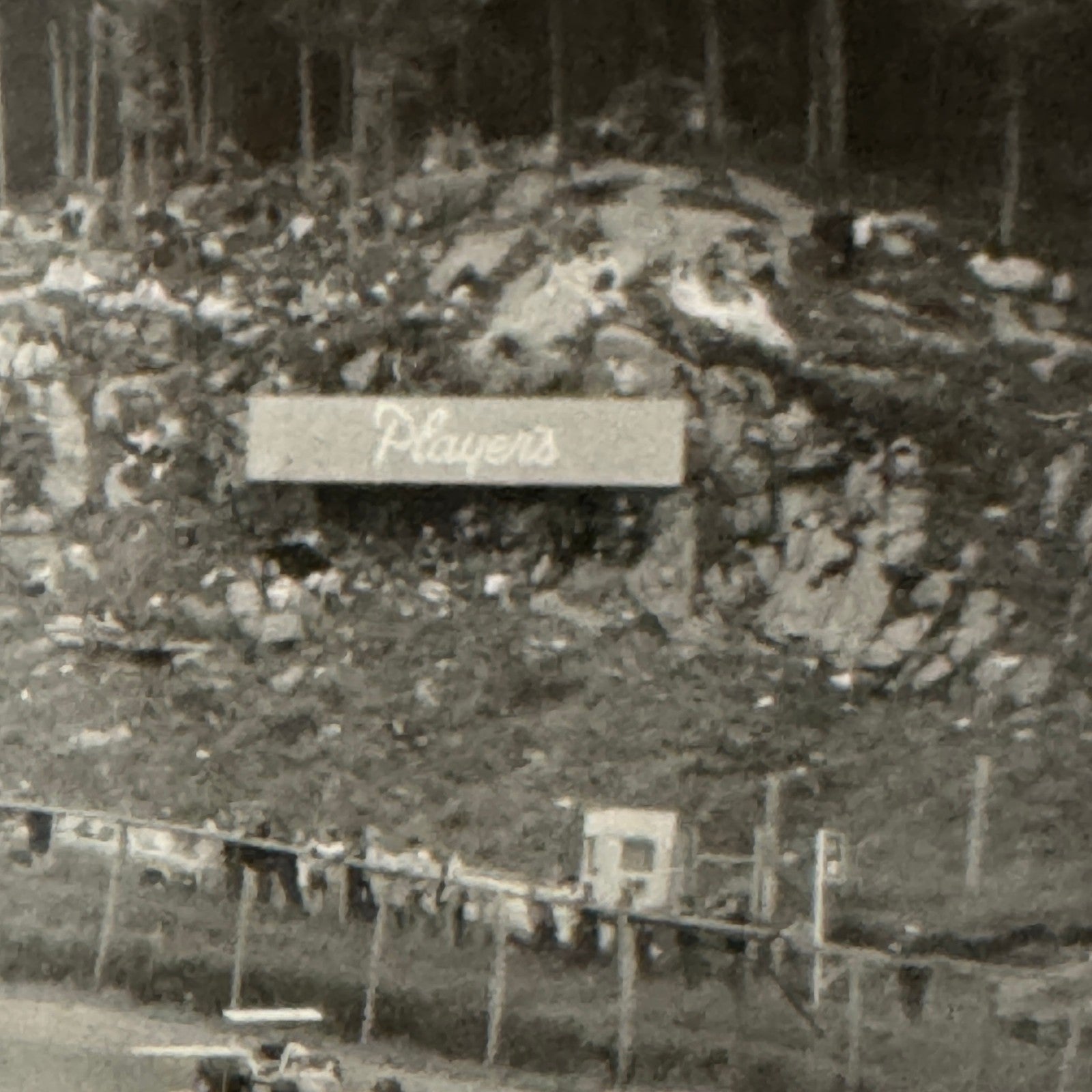 Vintage Car Racing Photo Circuit Mont Tremblant Quebec Photograph