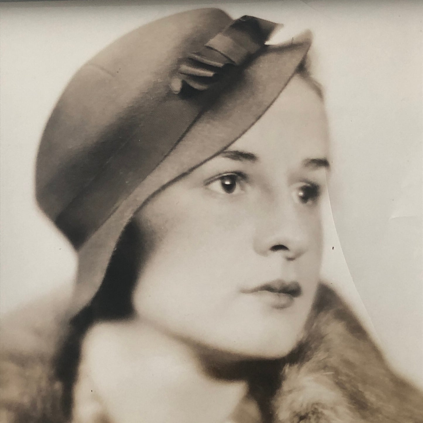 Press Photo Photograph Society Woman Carol Fries Major General Amos Fries 1933