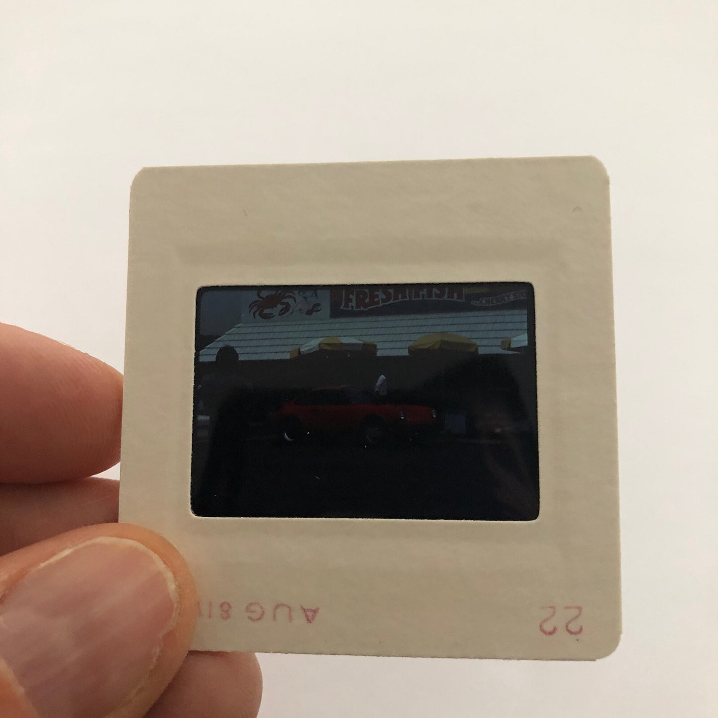 Porsche 911 Car 35mm Photo Slide Vintage 1981