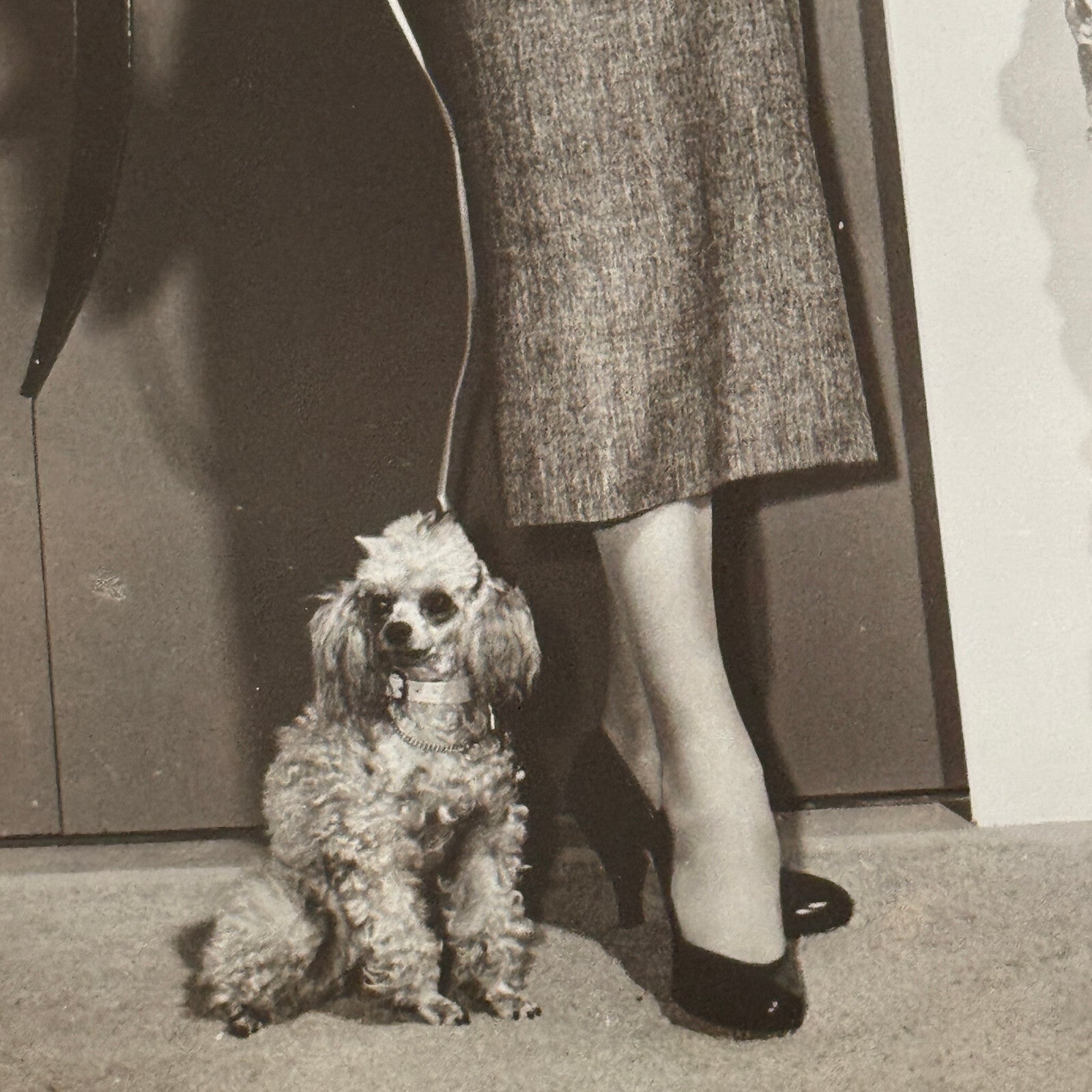 Vintage Movie Photo Photograph Actress with Dog Unidentified