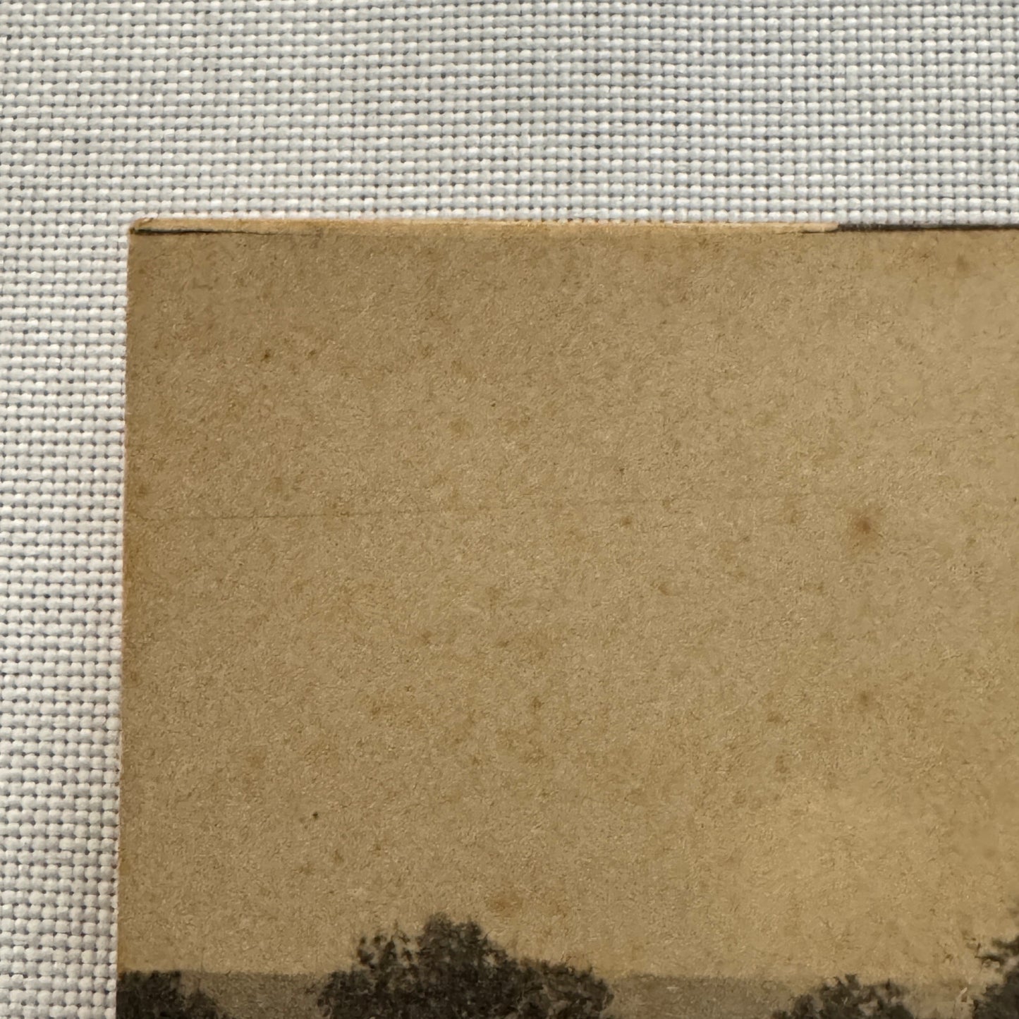 Vintage Car Automobile Postcard Post Card Italy Italian Horse Drawn Wagon