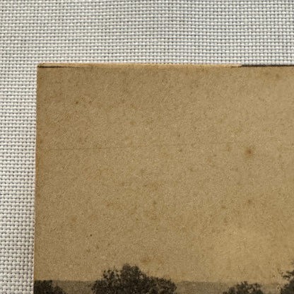 Vintage Car Automobile Postcard Post Card Italy Italian Horse Drawn Wagon