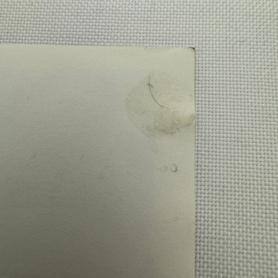 Vintage Cisitalia Car Photo Photograph Roadster Print