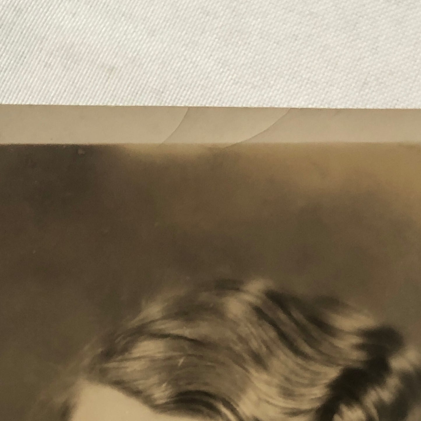 Press Photo Photograph Society Woman Wife of Postmaster General 1933