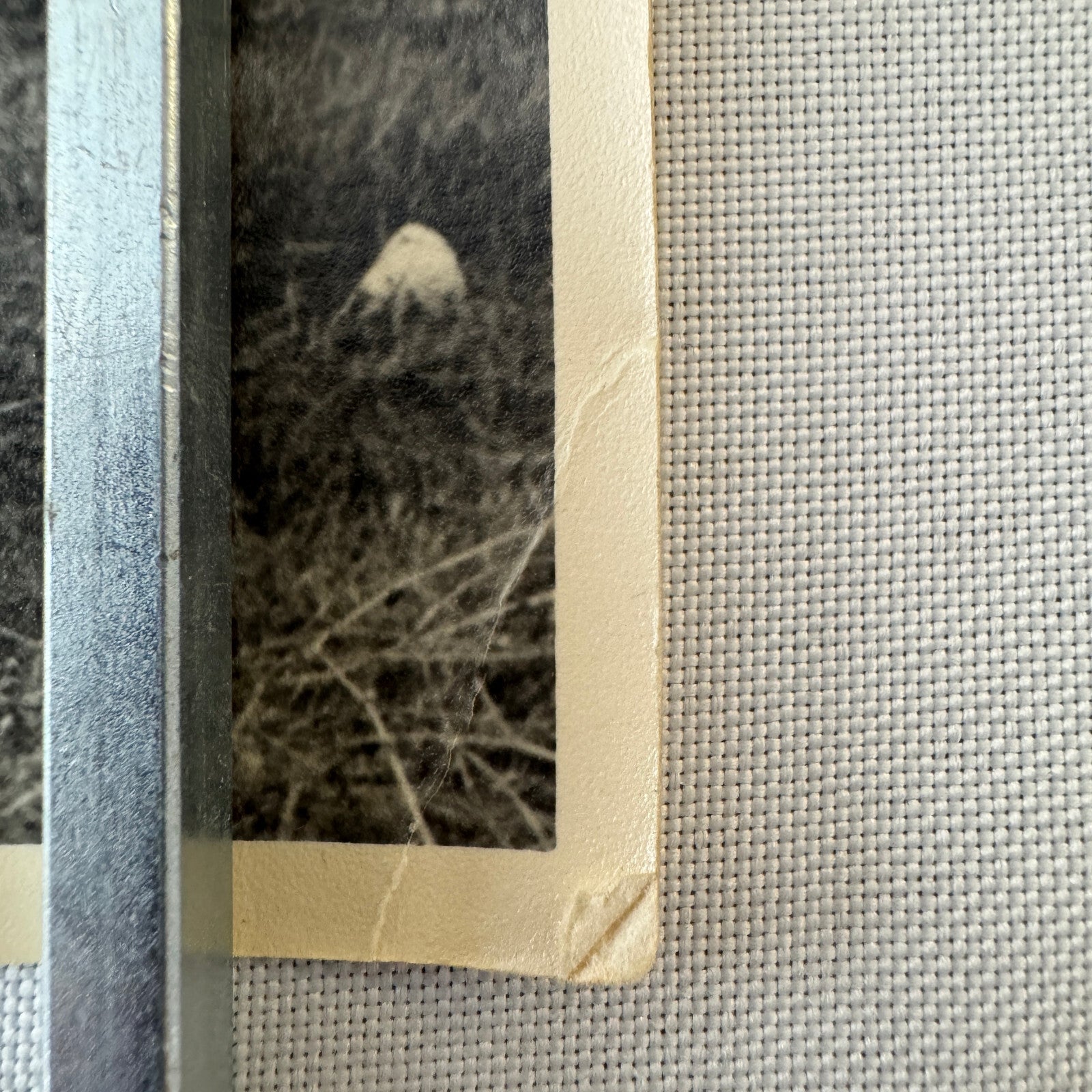 Vintage Volkswagen VW Beetle Convertible Cabriolet Photo Photograph Print