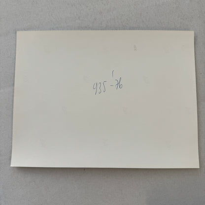 Porsche 935 Martini Racing Car Vintage Photo Photograph Print