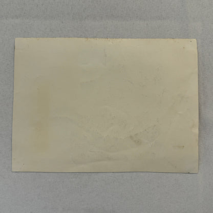 Vintage Circus Roller Skating Danger Act Postcard Post Card Ricardo Torez