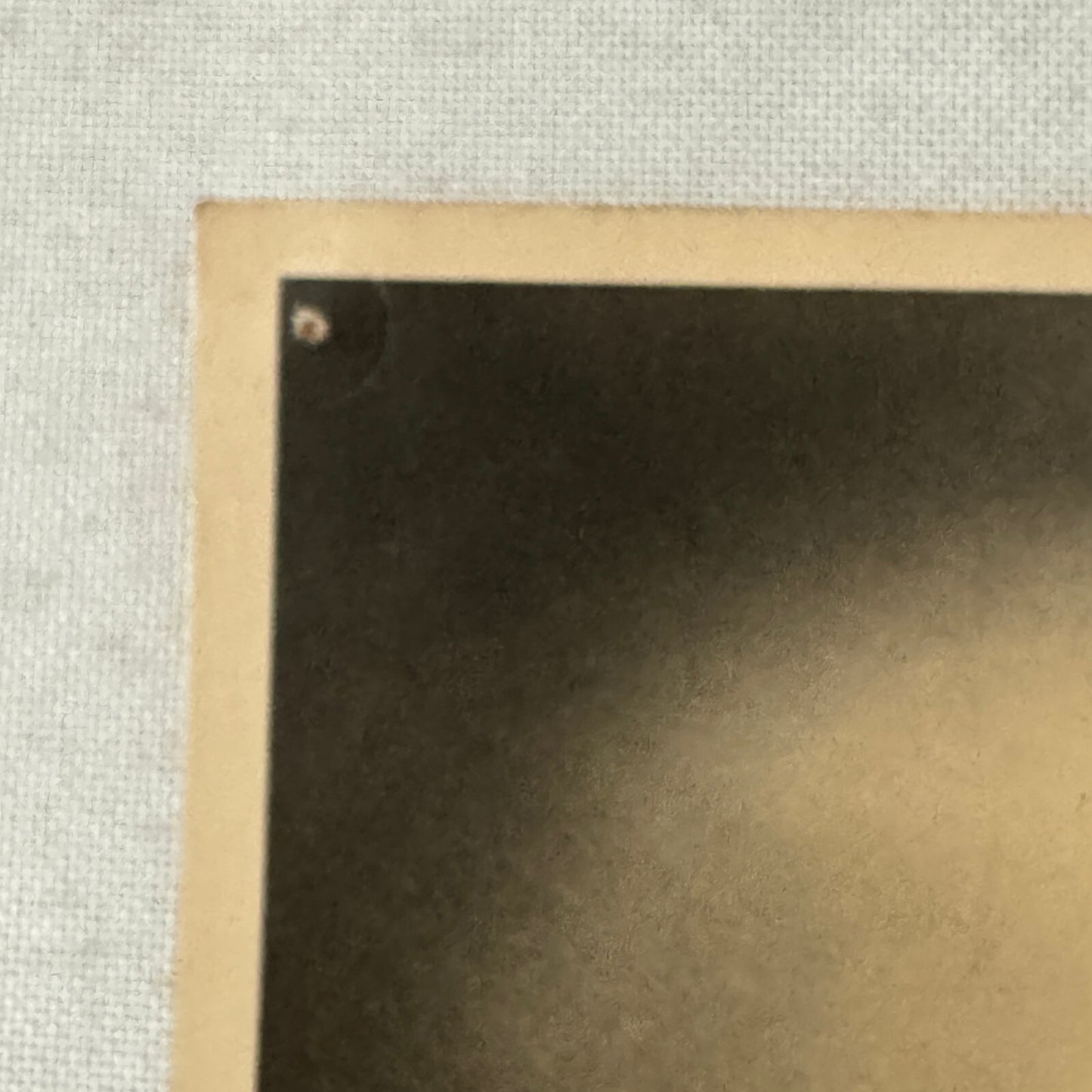 Vintage Circus Juggling Acrobat Act Bedini Tafani Photo Photograph