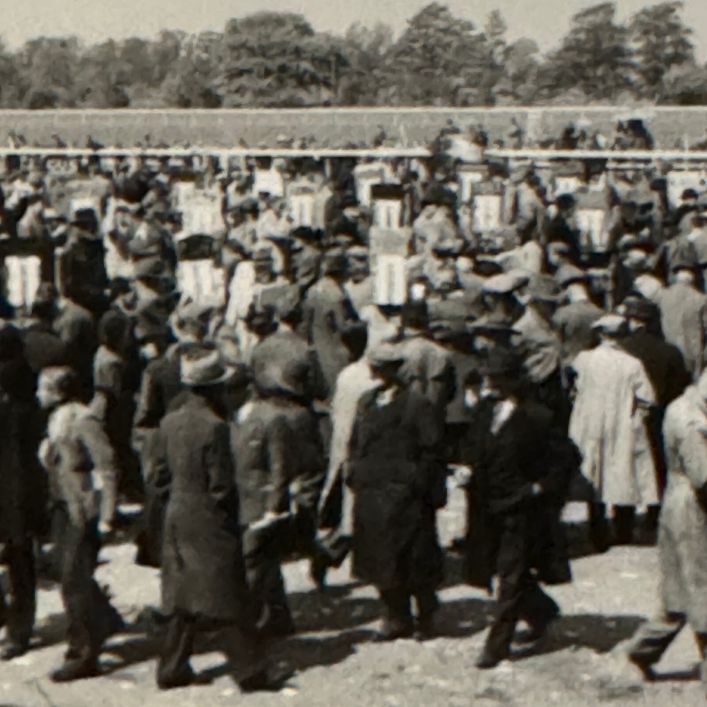 Vintage Photo Photograph Crowd at Horse Racing Track