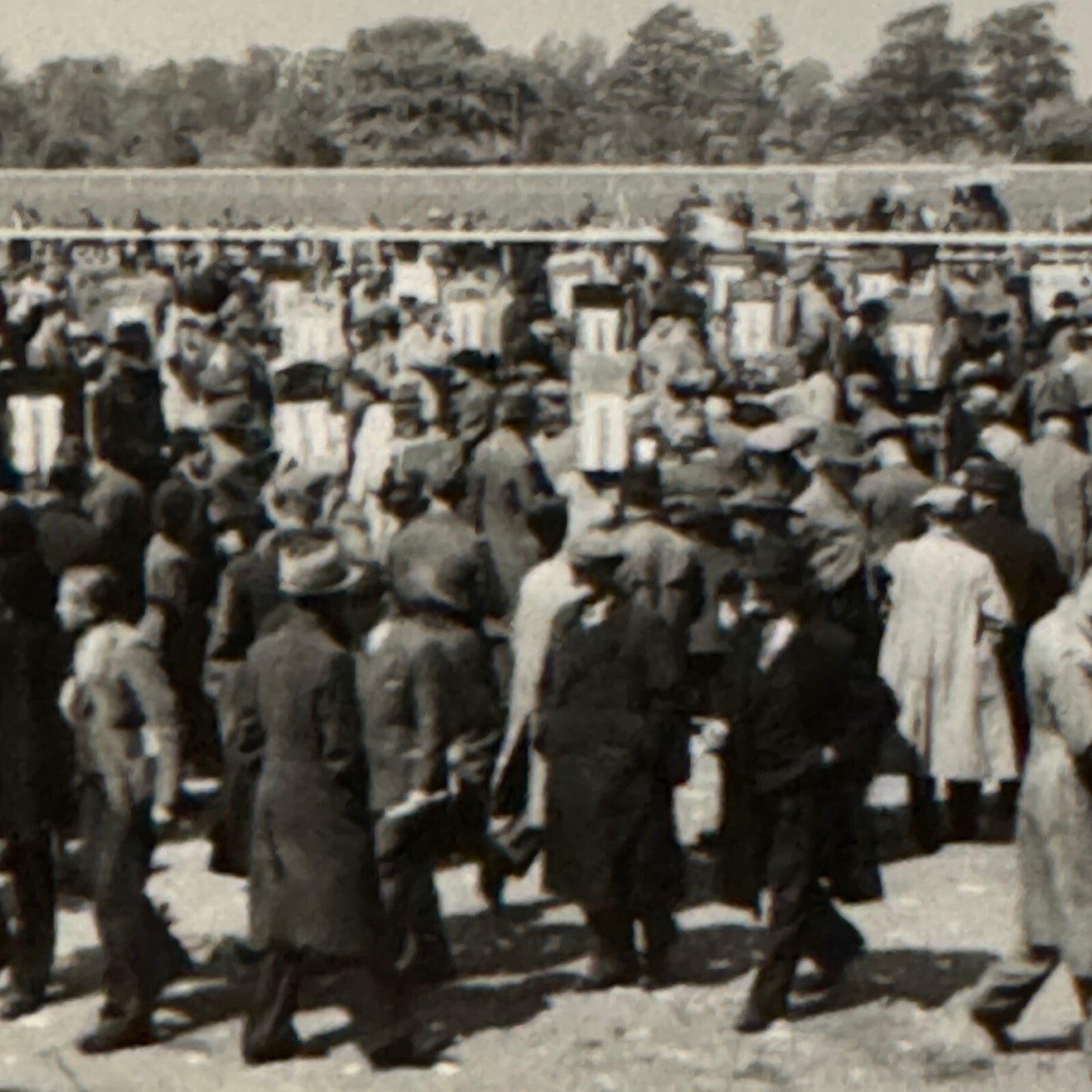 Vintage Photo Photograph Crowd at Horse Racing Track