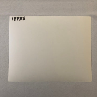 Laurel and Hardy Comedian Film Movie Actor Photo Photograph Print