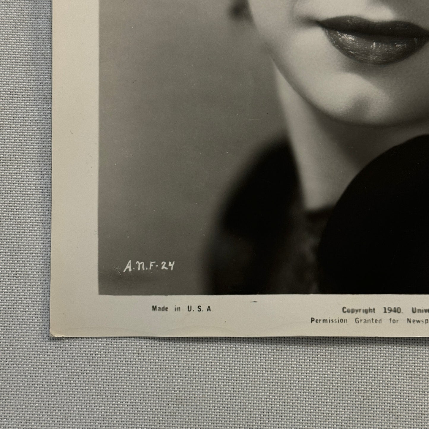 Anne Nagel Press Photo Photograph 1940 Universal Pictures Beautiful Actress