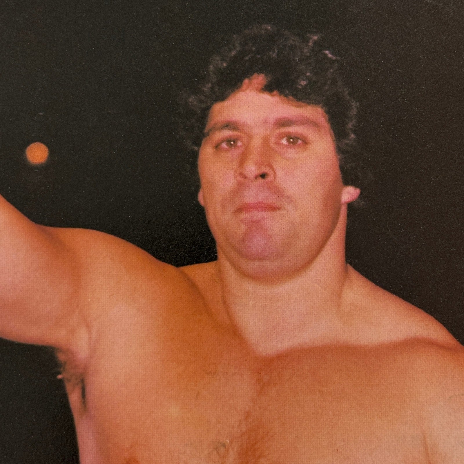 Vintage Wrestling Print Insert Dino Bravo Quebec French 1983