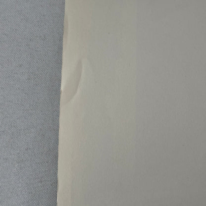 Vintage Movie Still Press Photo Photograph Print Wild and Wonderful Tony Curtis