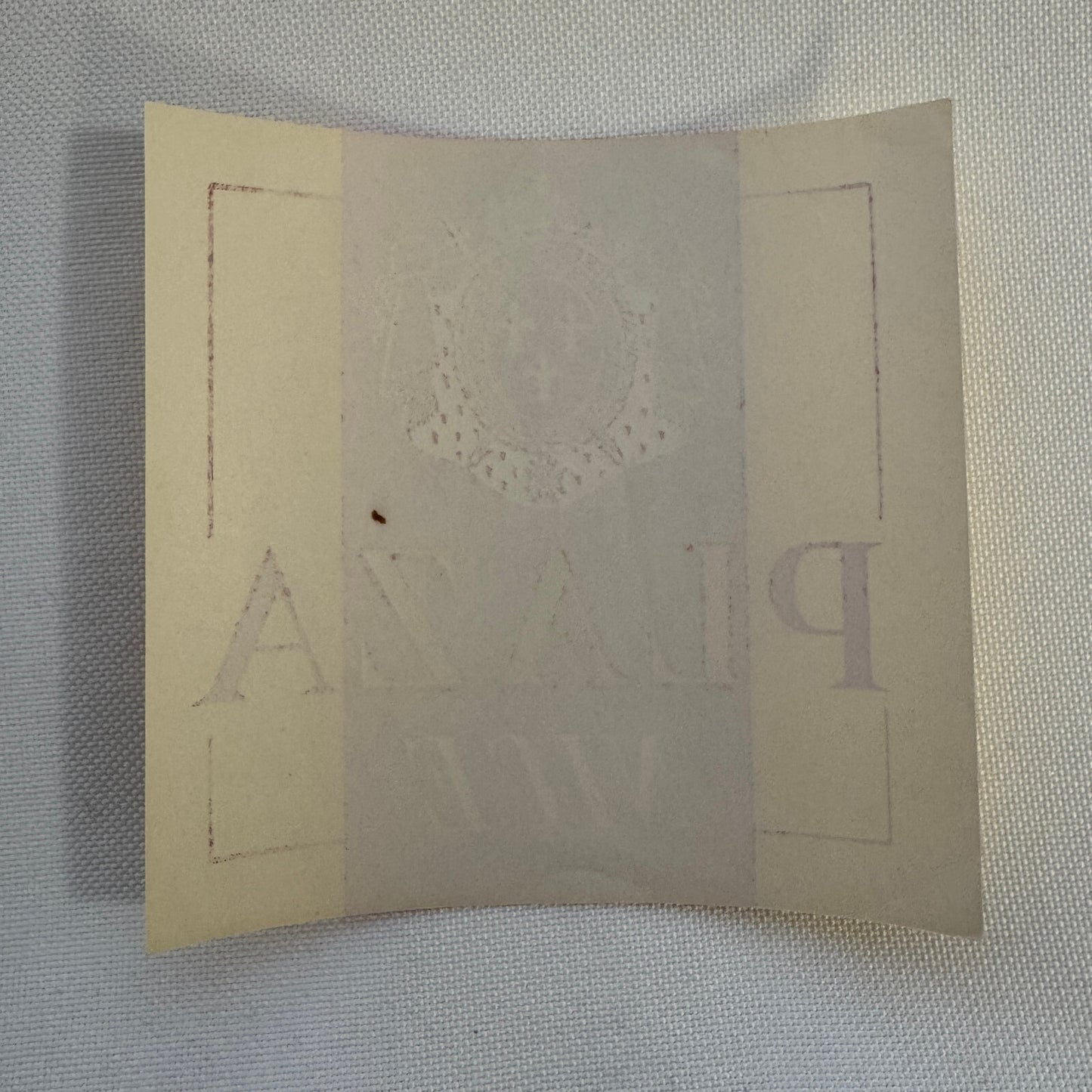 Vintage Travel Luggage Label Hotel Plaza Nice France French