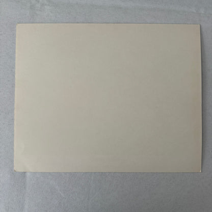 Spring Break Vintage Movie Lobby Card Film 1983 Columbia Pictures