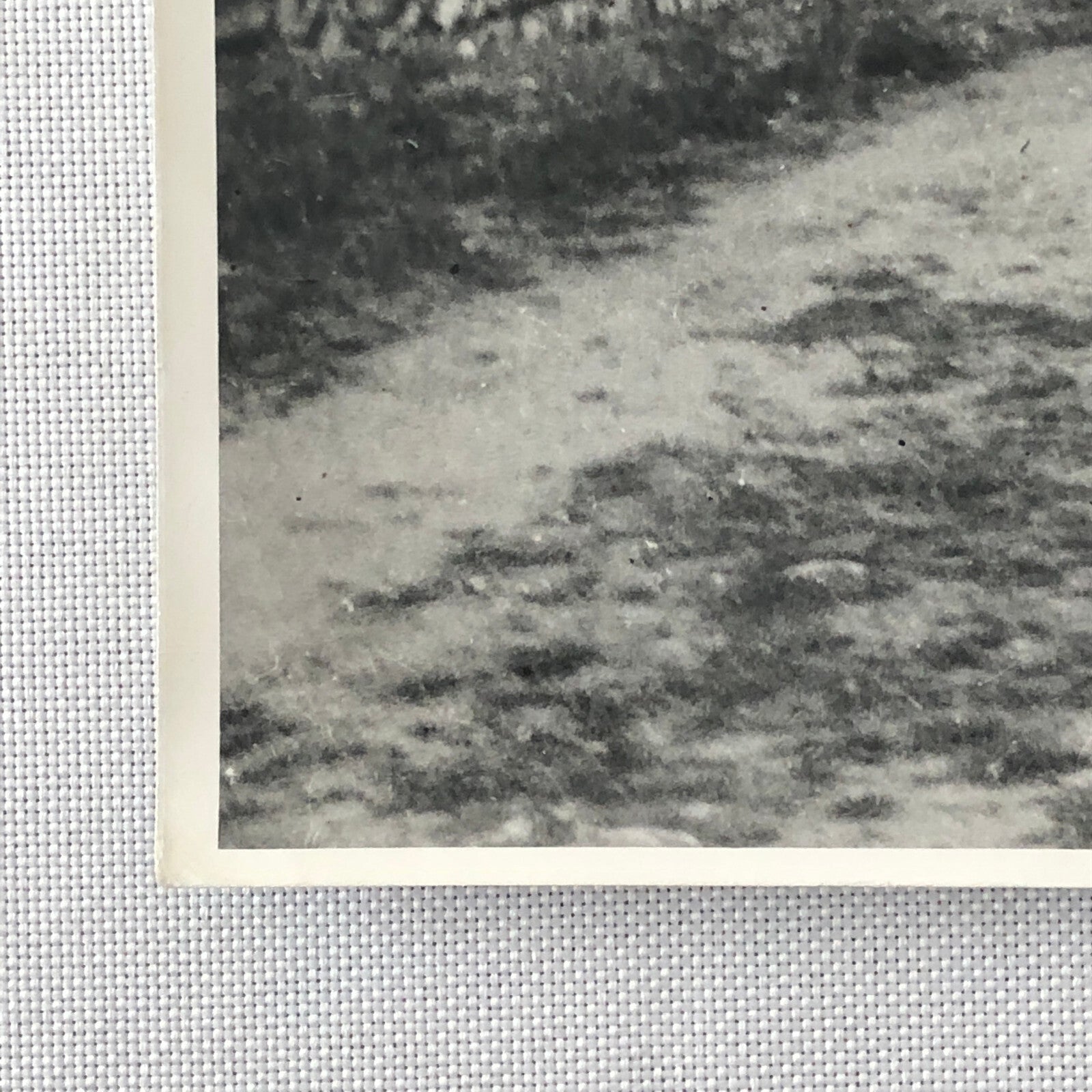 Vintage Antique Car Photo Photograph Print - Tag REA22-E2