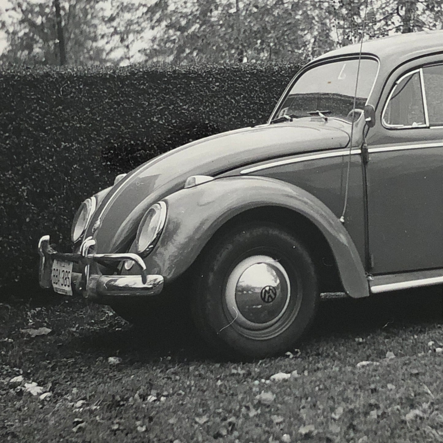Vintage Volkswagen VW Beetle Bug Car Photo Photograph