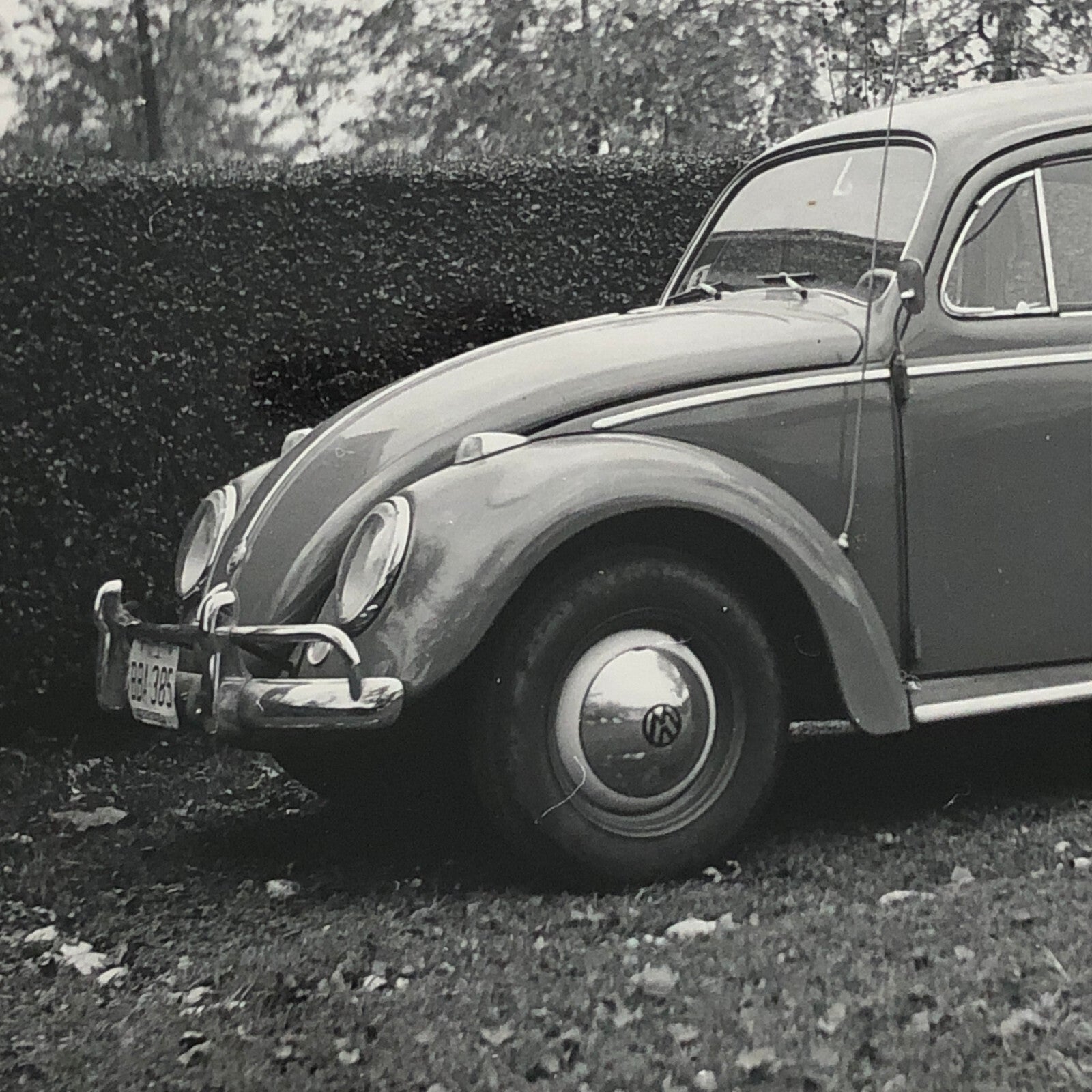 Vintage Volkswagen VW Beetle Bug Car Photo Photograph