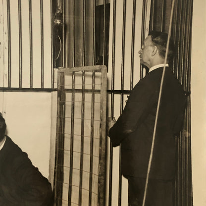 Press Photo Photograph Doctors Help Sick Gorilla at Washington Zoo 1932