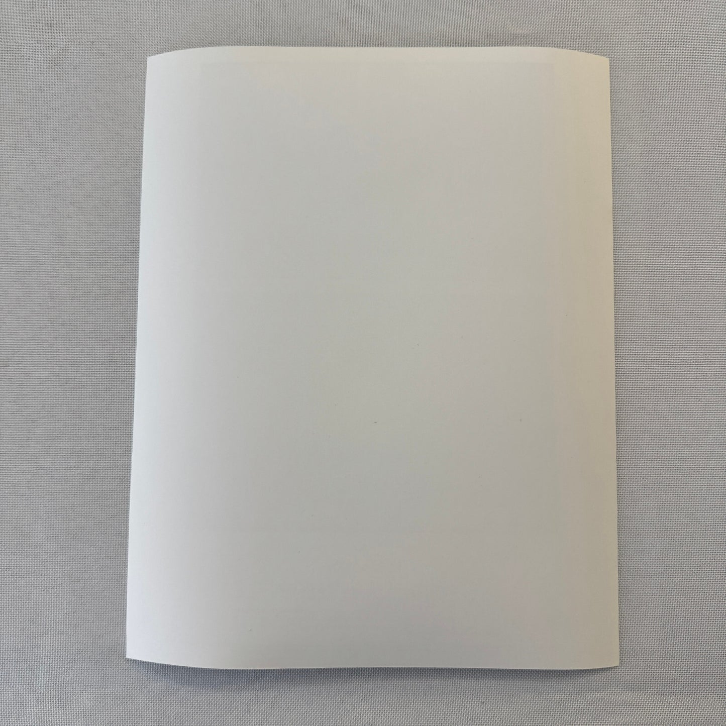 Warriors of Virtue Movie Film Press Photo Photograph 1997