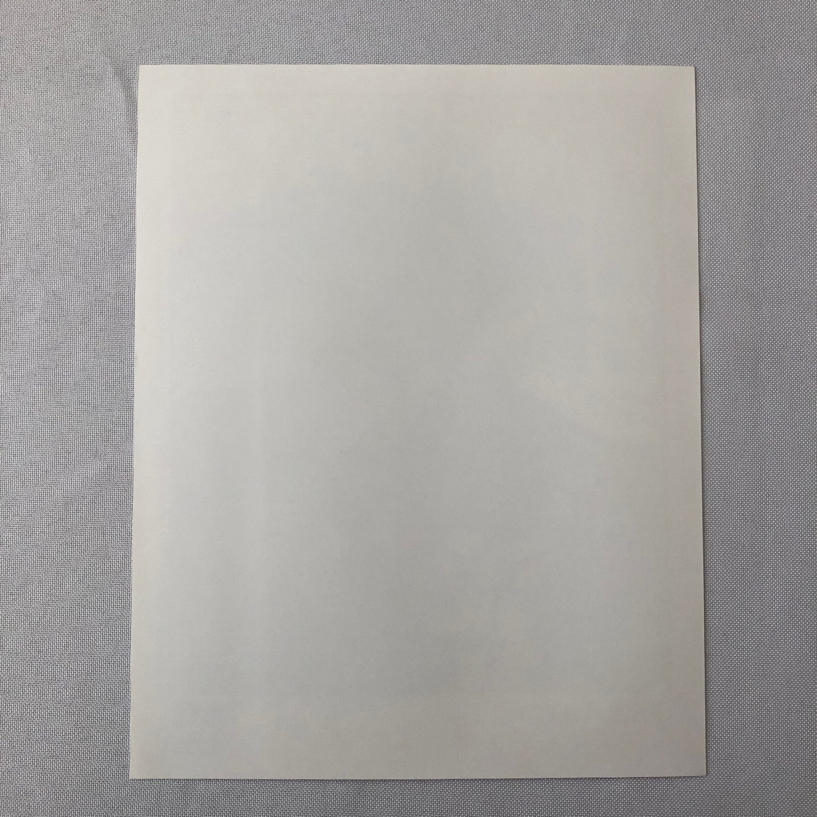 Vintage Indy Indianapolis Racing Press Photo Photograph Paul Tracy 1994