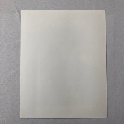 Vintage Indy Indianapolis Racing Press Photo Photograph Paul Tracy 1994