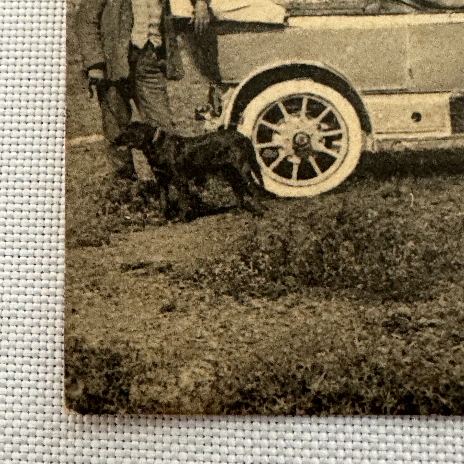 Vintage Car Automobile Postcard Post Card Italy Italian Horse Drawn Wagon