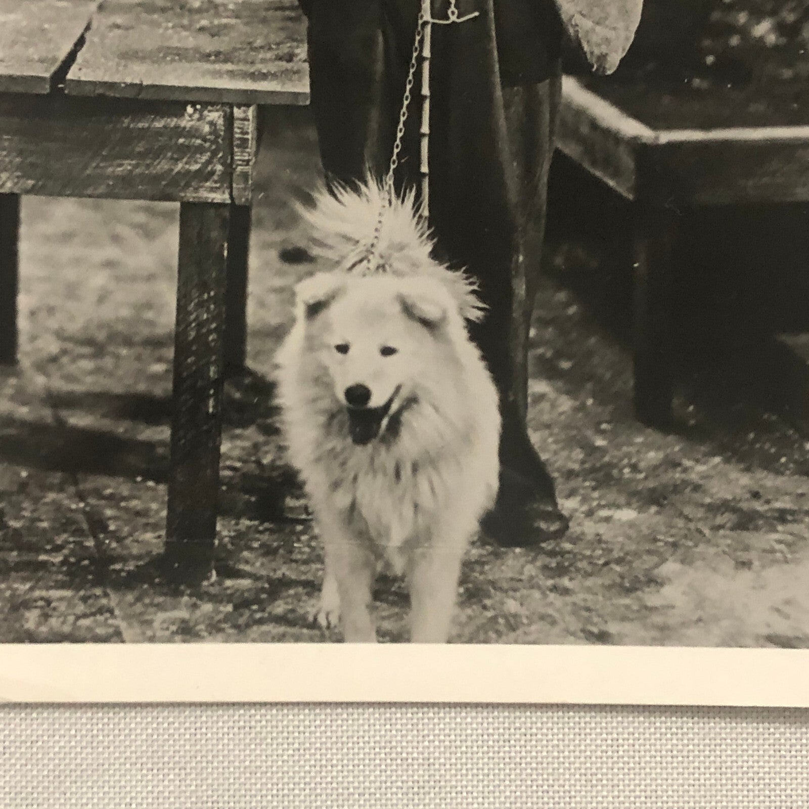Charlie Chaplin The Gold Rush Tom Movie Still Photo Photograph Print Tom Murray