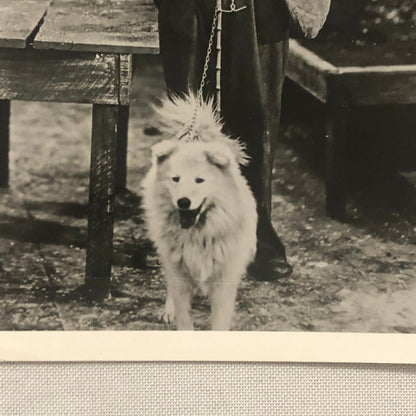 Charlie Chaplin The Gold Rush Tom Movie Still Photo Photograph Print Tom Murray