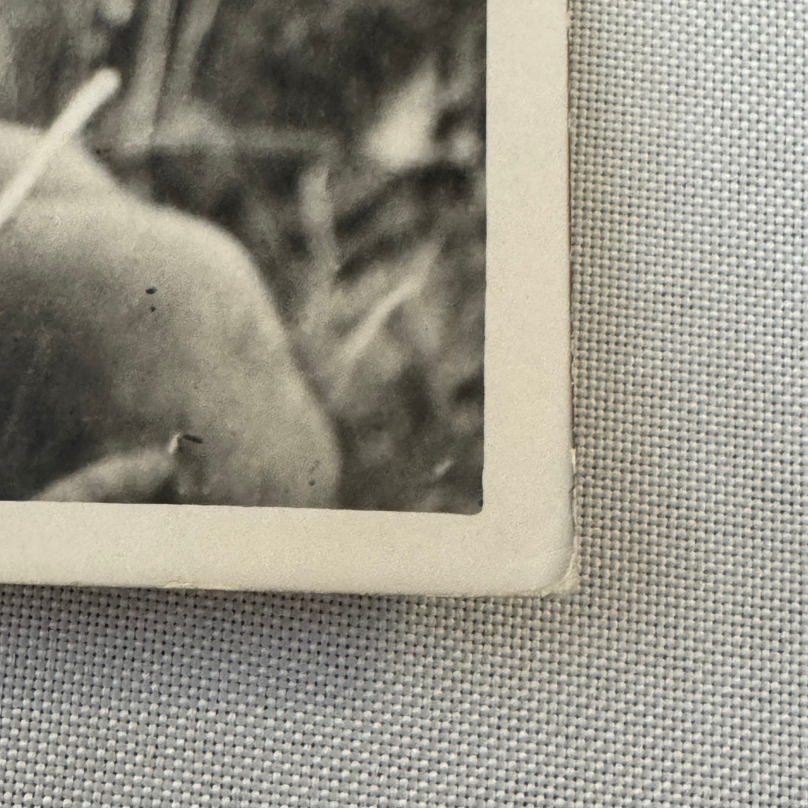 Edward Prince of Wales King Edward VIII Nepal Tiger Hunt Press Photo Photograph