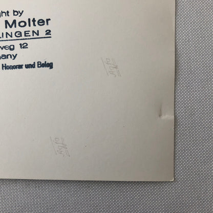 McLaren Ford Racing Car Engine Motor Photo Photograph Gunther Molter