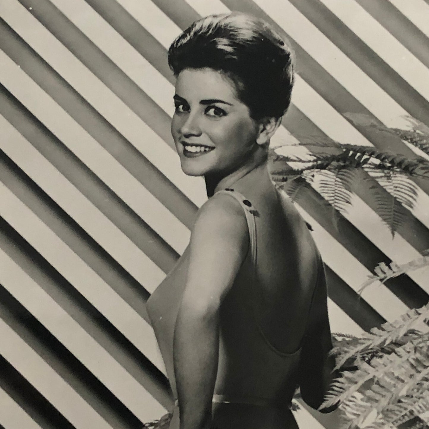 Dolores Hart Vintage Actress Photo Photograph Print Modern Print