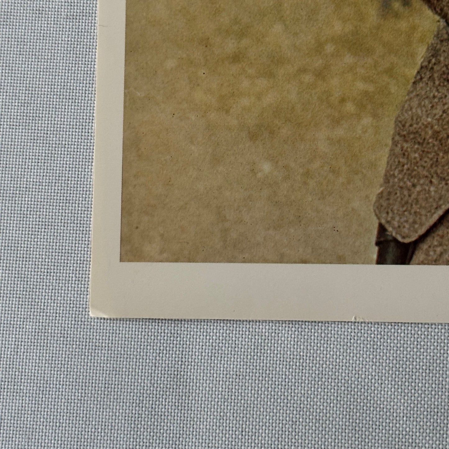 Don Knotts The Shakiest Gun in the West Vintage Movie Lobby Card Film