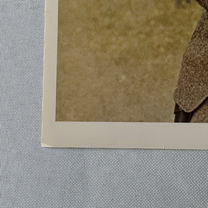 Don Knotts The Shakiest Gun in the West Vintage Movie Lobby Card Film