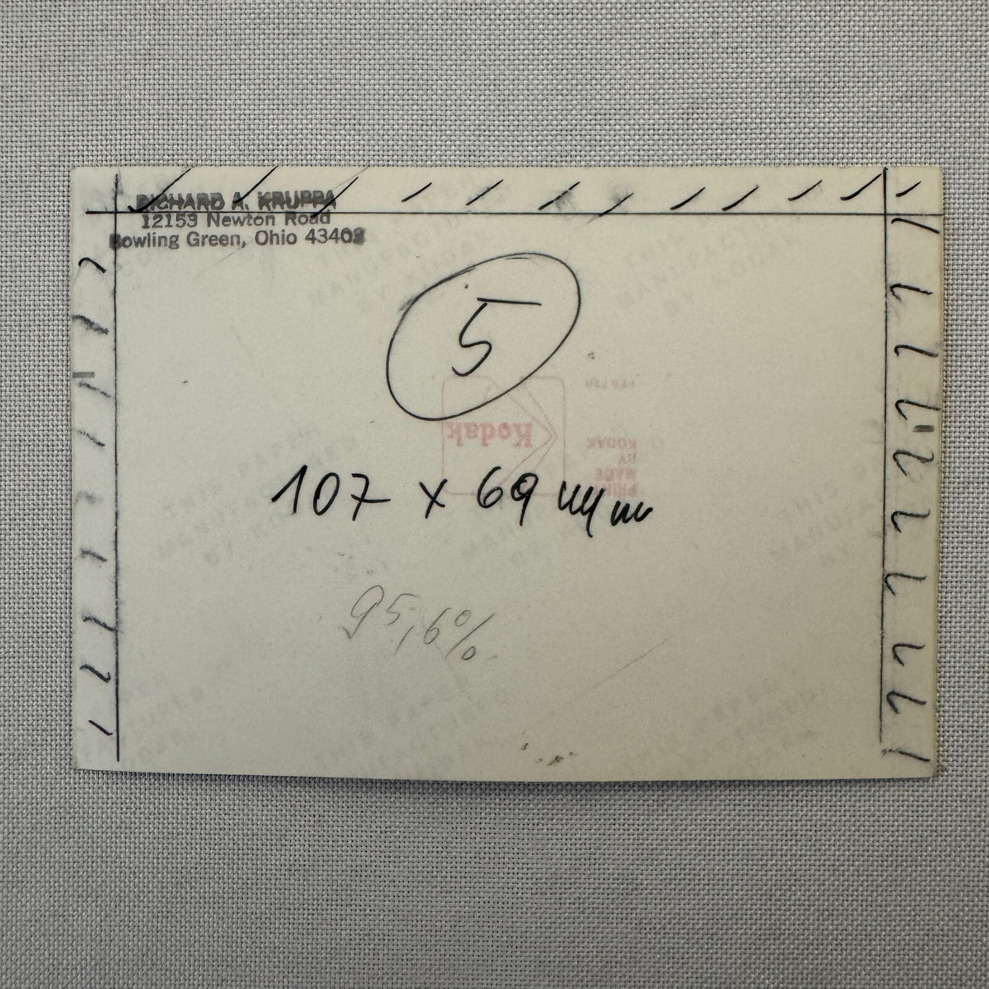 Porsche 911 with Dog Photo Photograph Print Vintage