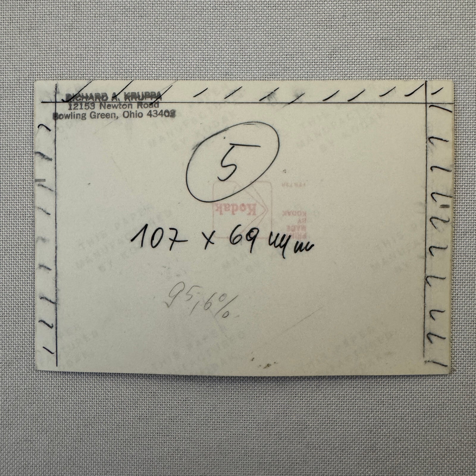 Porsche 911 with Dog Photo Photograph Print Vintage