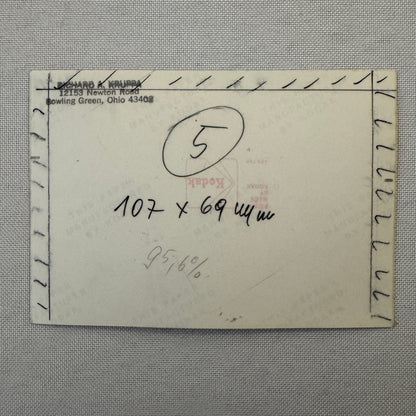 Porsche 911 with Dog Photo Photograph Print Vintage