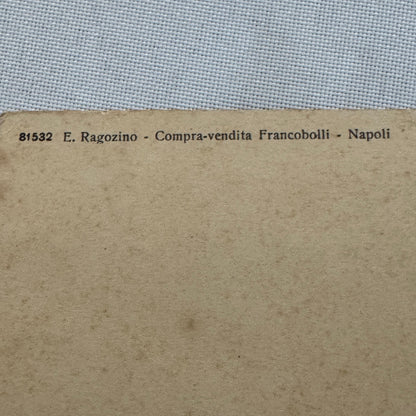 Vintage Car Automobile Postcard Post Card Italy Italian Horse Drawn Wagon