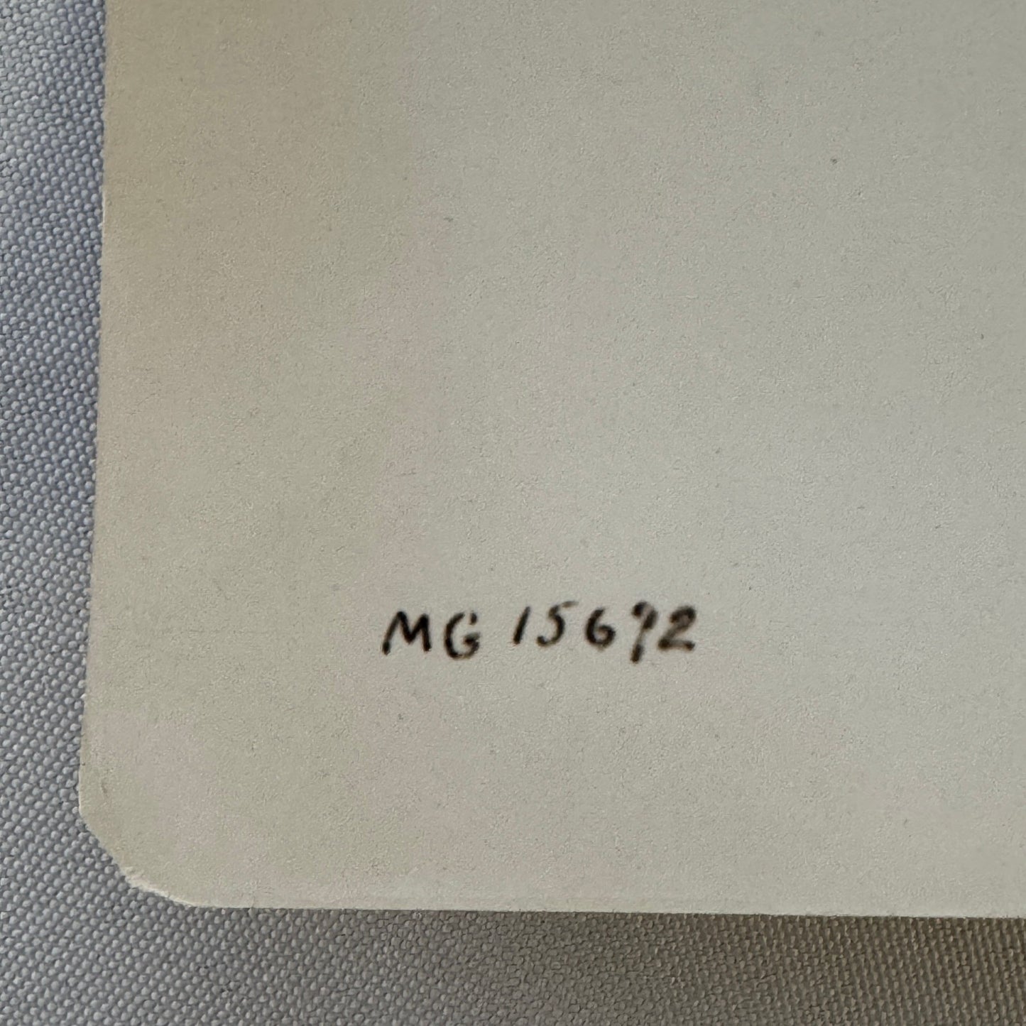 Vintage Actor Photograph Robert Montgomery Working Out Photo Medicine Ball